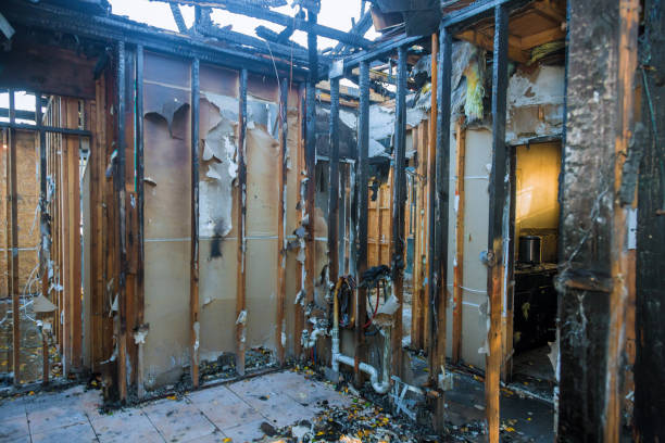 Professional Smoke Damage Removal technician working in Langhorne, PA